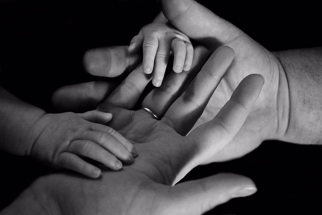 Family Law